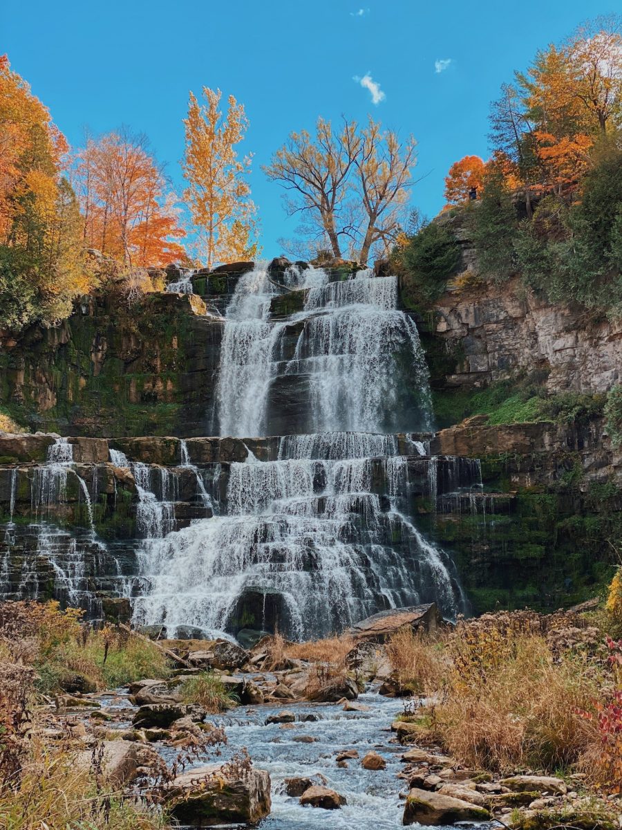 Chittenango Falls during November