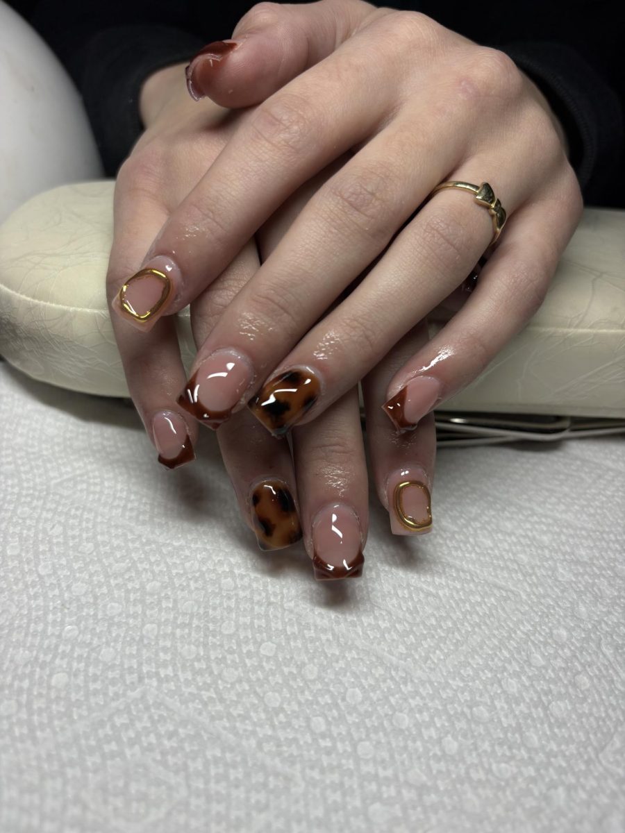Nails for a Newbie