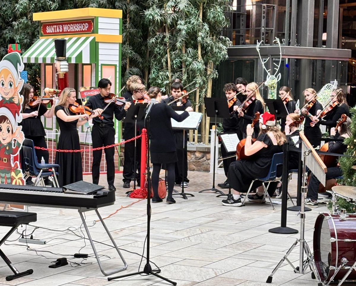 The Chamber Orchestra playing at the Destiny Mall Holiday Series. Photo taken by Mr. Stearns.